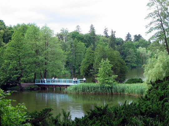 Image - A bridge on the Great Pond in the Trostianets Dendrological Park.